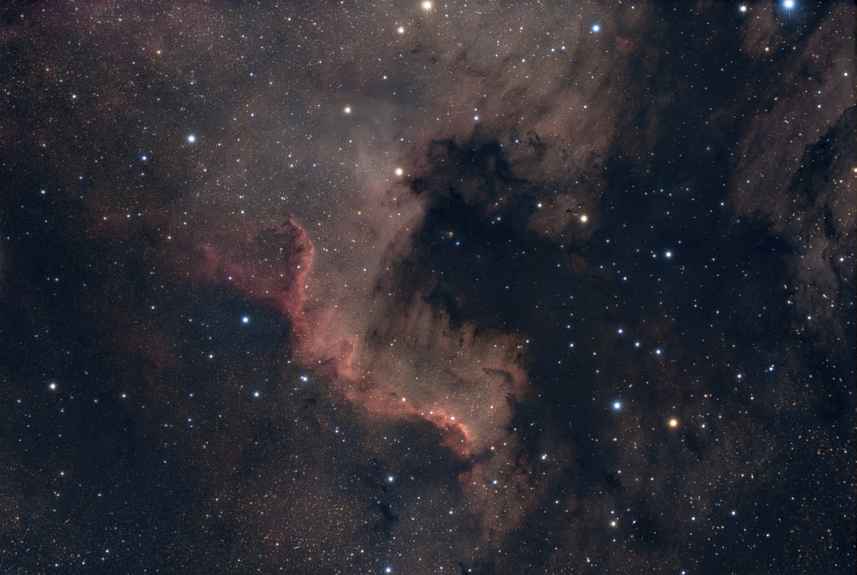 LRCC_sRGB_NGC7000_Wall_light_Master_croprot_DBE_stretched2_ACDNR_Sat_SCNR_MT_JPMStar_small.jpg
