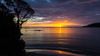 NZ Rakiura NP Bungaree Bay Sunrise 01 LR.jpg