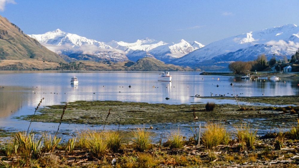 NZ Fiordland Wanaka Lake.jpg