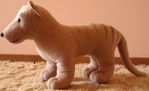 Profile (Thylacine)