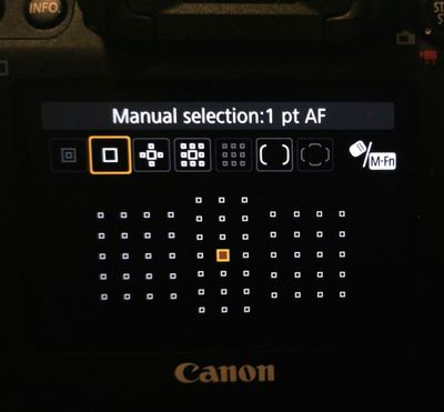 Canon 5d iv AF area selection.jpg