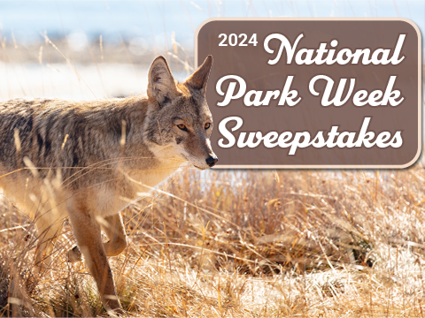 2024 National Parks Week Sweepstakes - Enter for a chance to win!