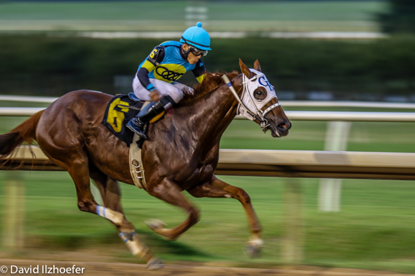 Motion Blur-2.jpg