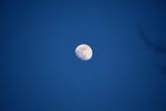 IMG_0021-1.JPG