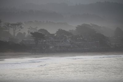 IMG_7599 (Large).JPG