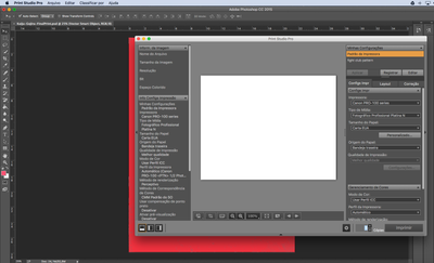 Captura de Tela 2016-12-12 às 10.13.55.png