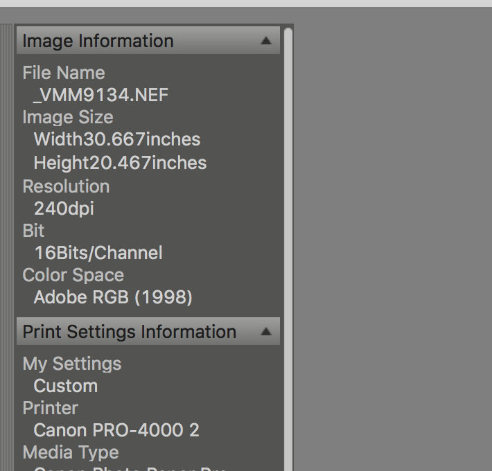 print-studio-pro_resolution-dpi.png