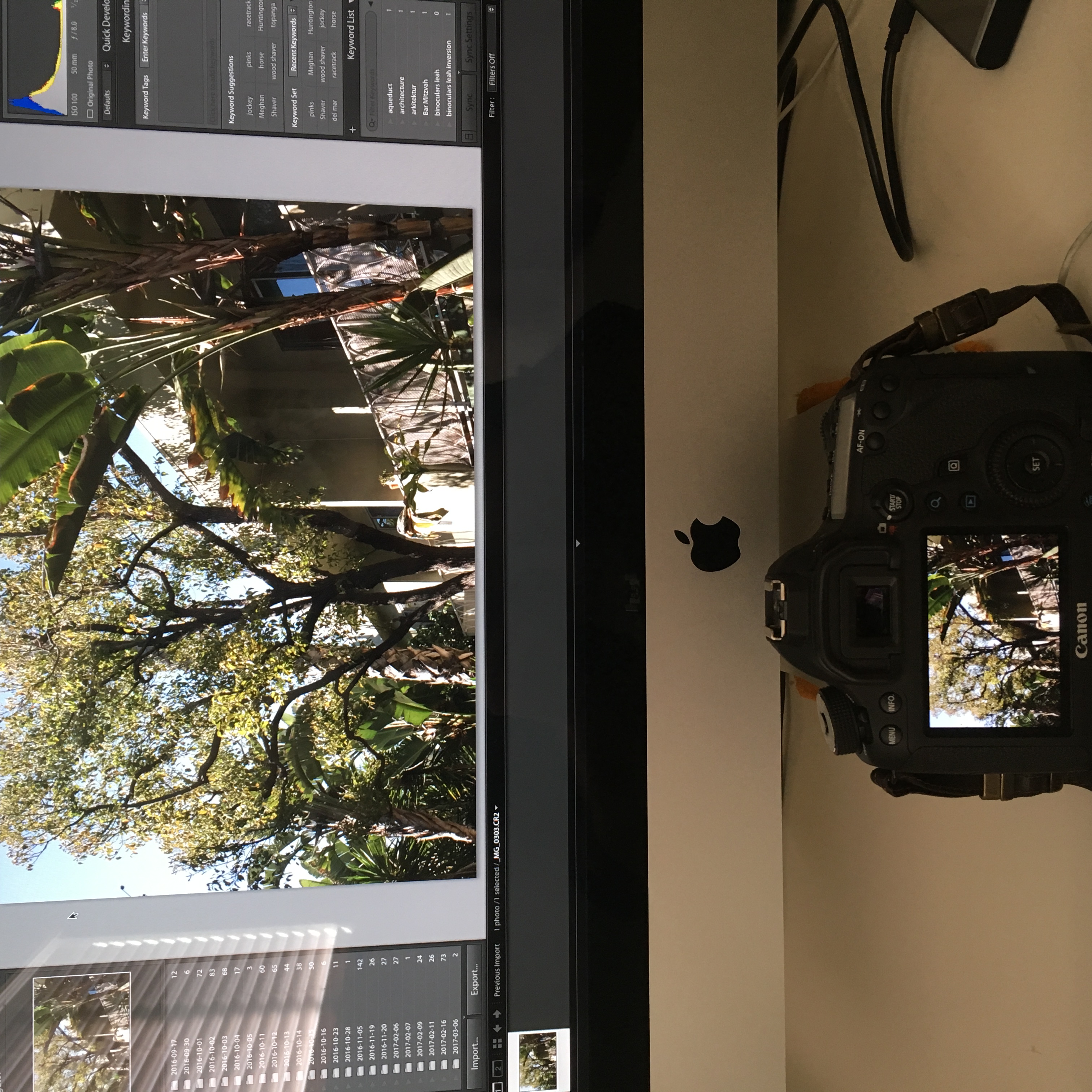 Canon EOS 6D has problem with yellow tint lcd Canon Community