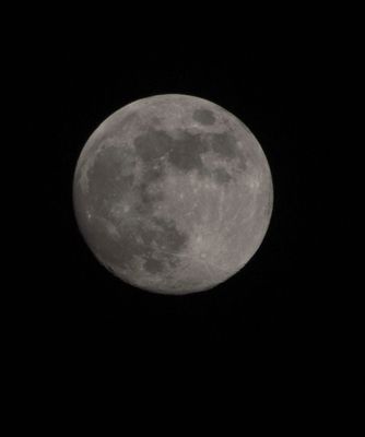 IMG_7124.JPG