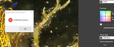 dpp-auto gamma bug.PNG