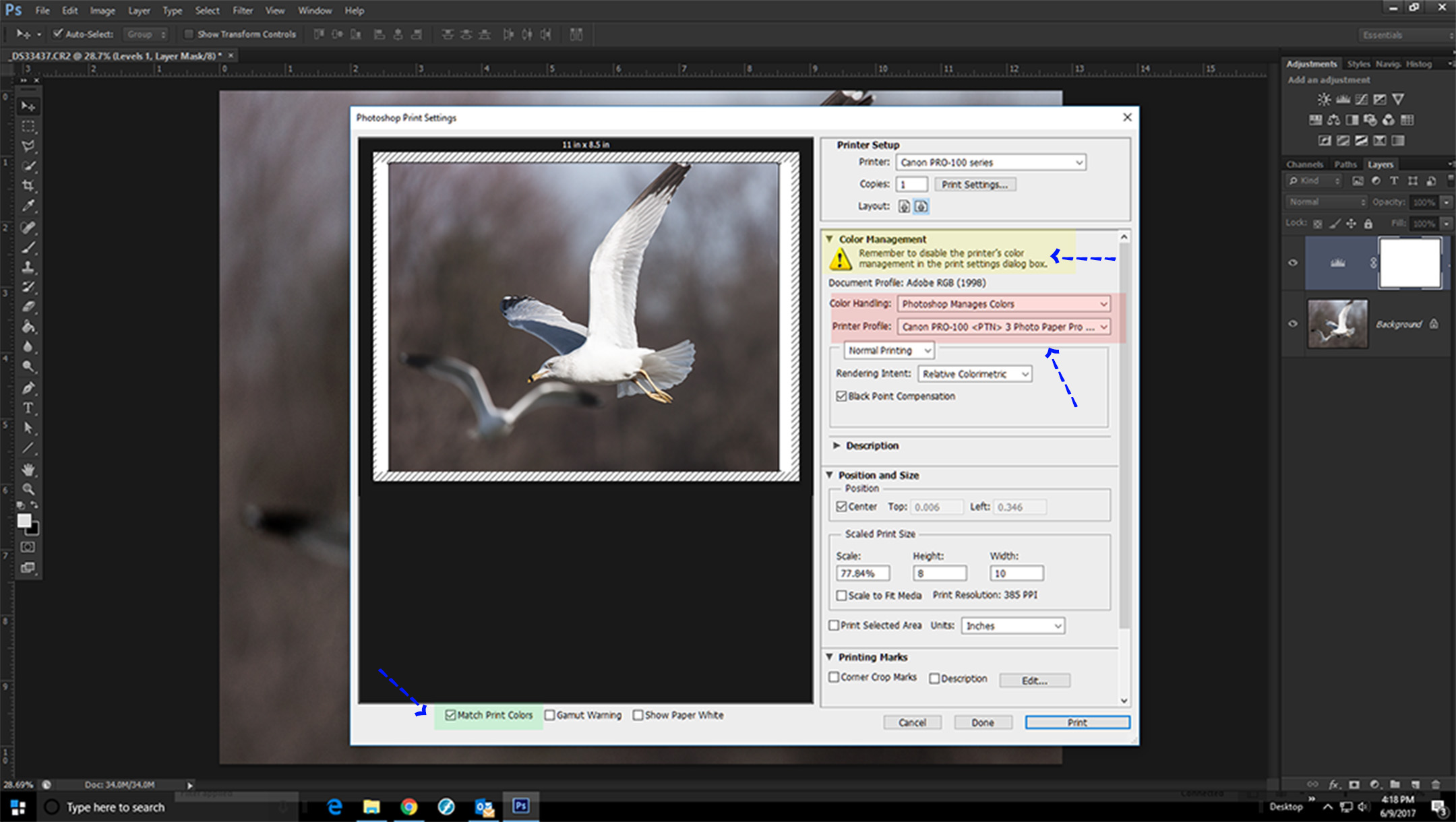 how do I calibrate my canon pixma pro 100 to match... Canon Community