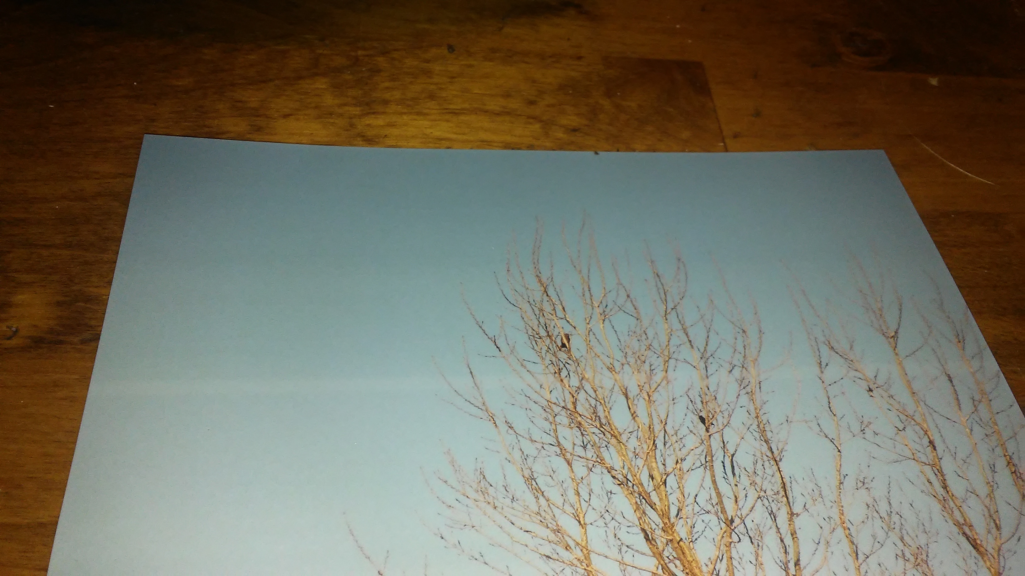 Blurry line in the viewfinder and on the photo Canon Community