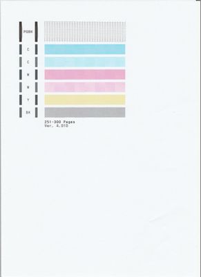 Canon Nozzle Check.jpg