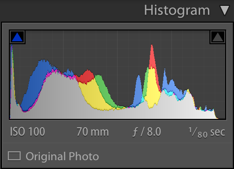 Screen Shot 2017-08-30 at 12.23.51 PM.png