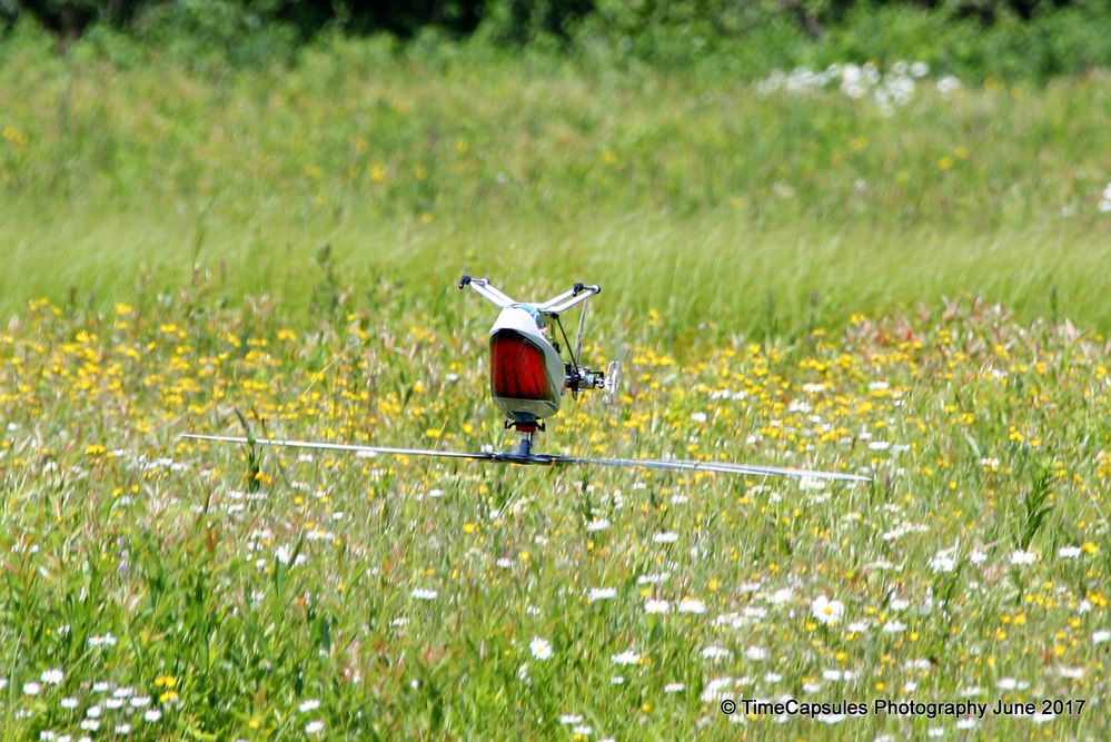 TCPRC 6-24-2017 12-54-54 PM.jpg