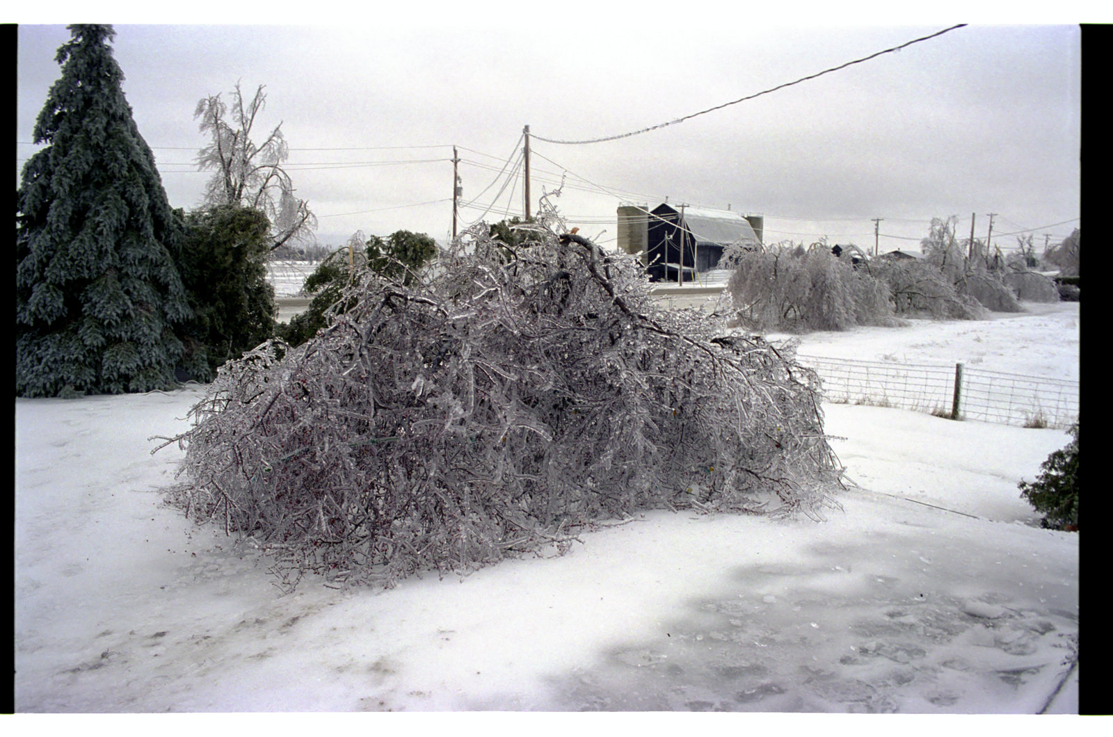 icestorm9802.jpg