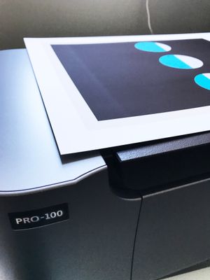 pro100.jpg