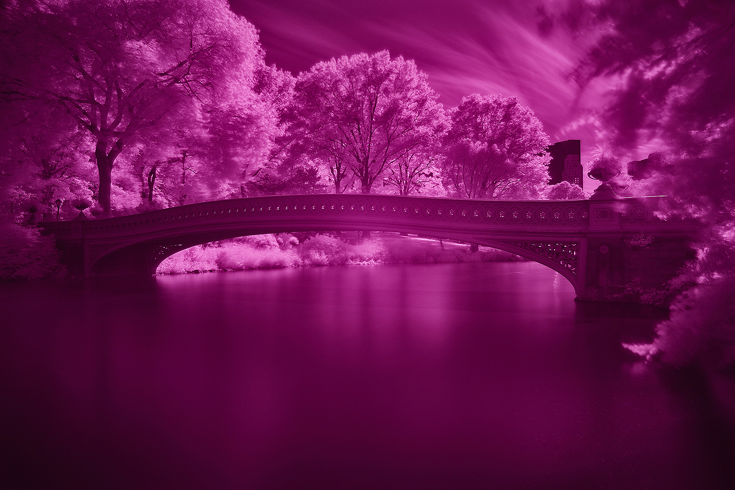 Central_Park_Infrared_10.JPG