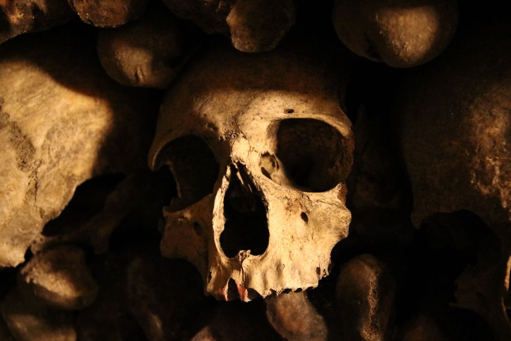Paris Catacombs handheld