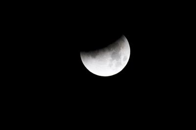 IMG_3168.jpg