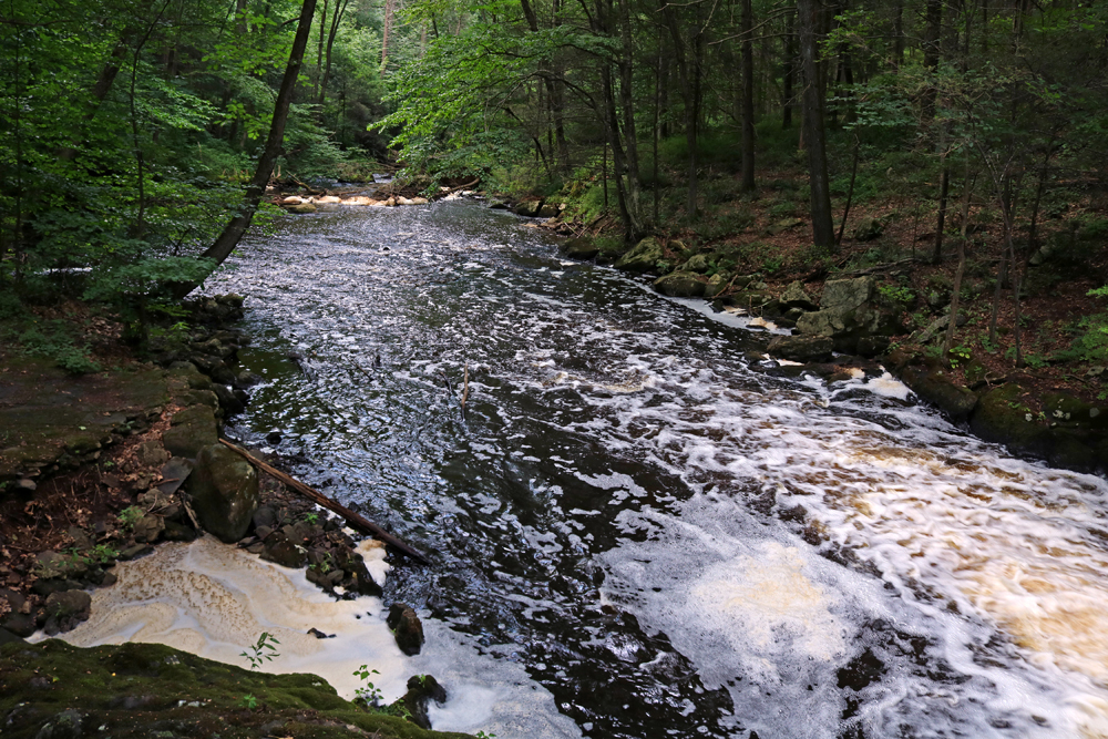 River Stream