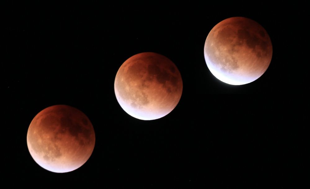 Blood Moon Images.jpg