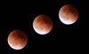 Blood Moon Images.jpg