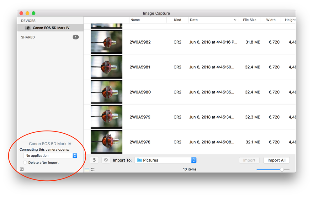 Screen Shot 2018-07-13 at 12.03.00 PM.png