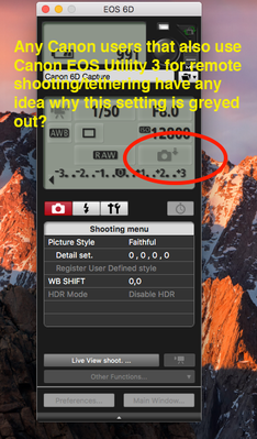 Screen Shot 2018-07-29 at 11.01.08 PM.png