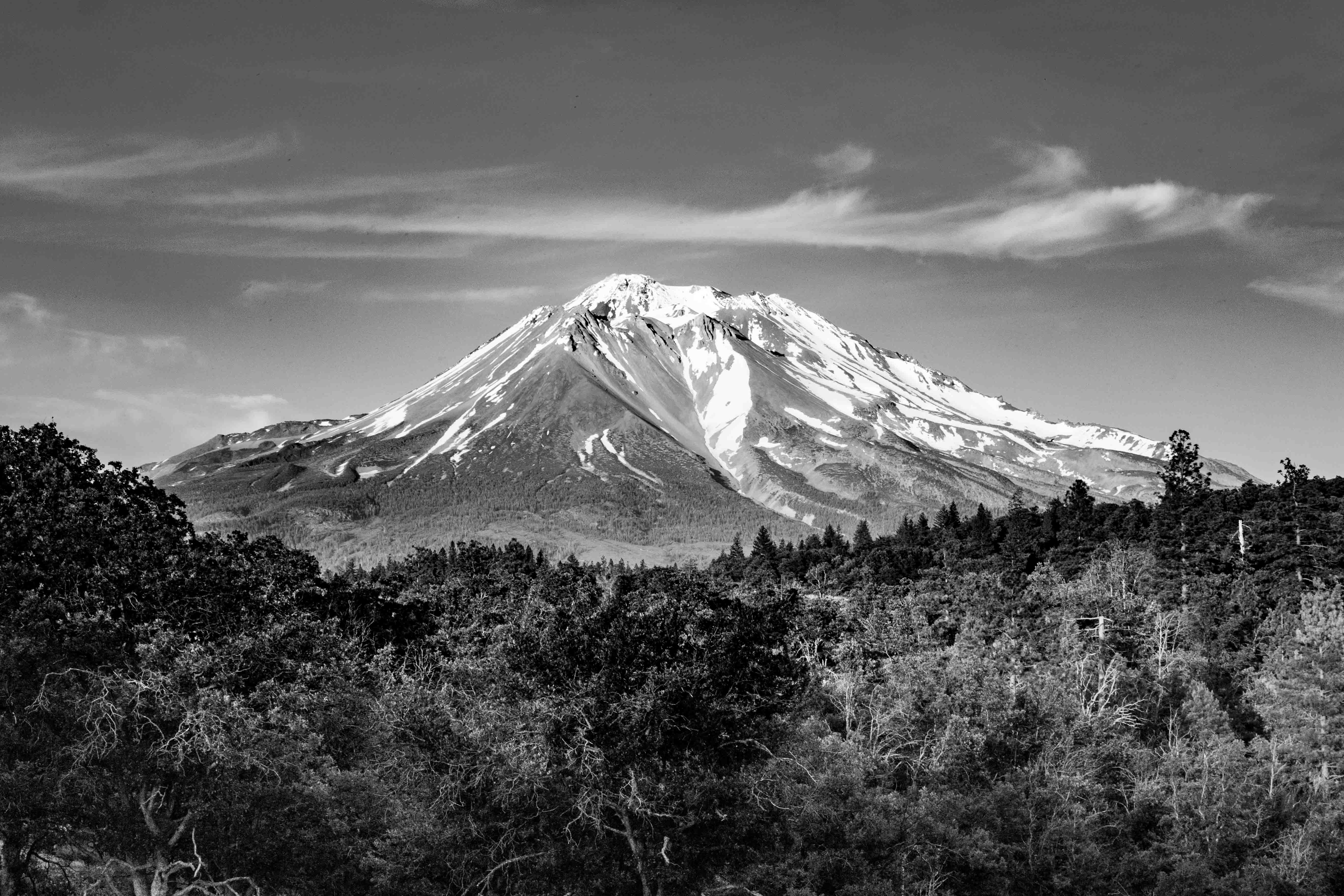 Mount Shasta