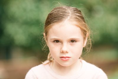 Rented Mark IV std import.jpg