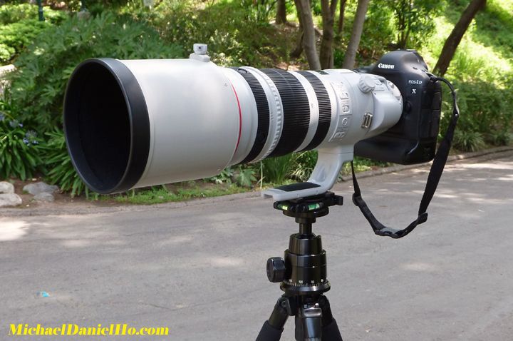 EF 200-400mm f/4L IS USM Extender 1.4x Lens with EOS-1 D X Camera