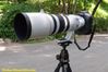 EF 200-400mm f/4L IS USM Extender 1.4x Lens with EOS-1 D X Camera