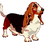 Basset1.gif