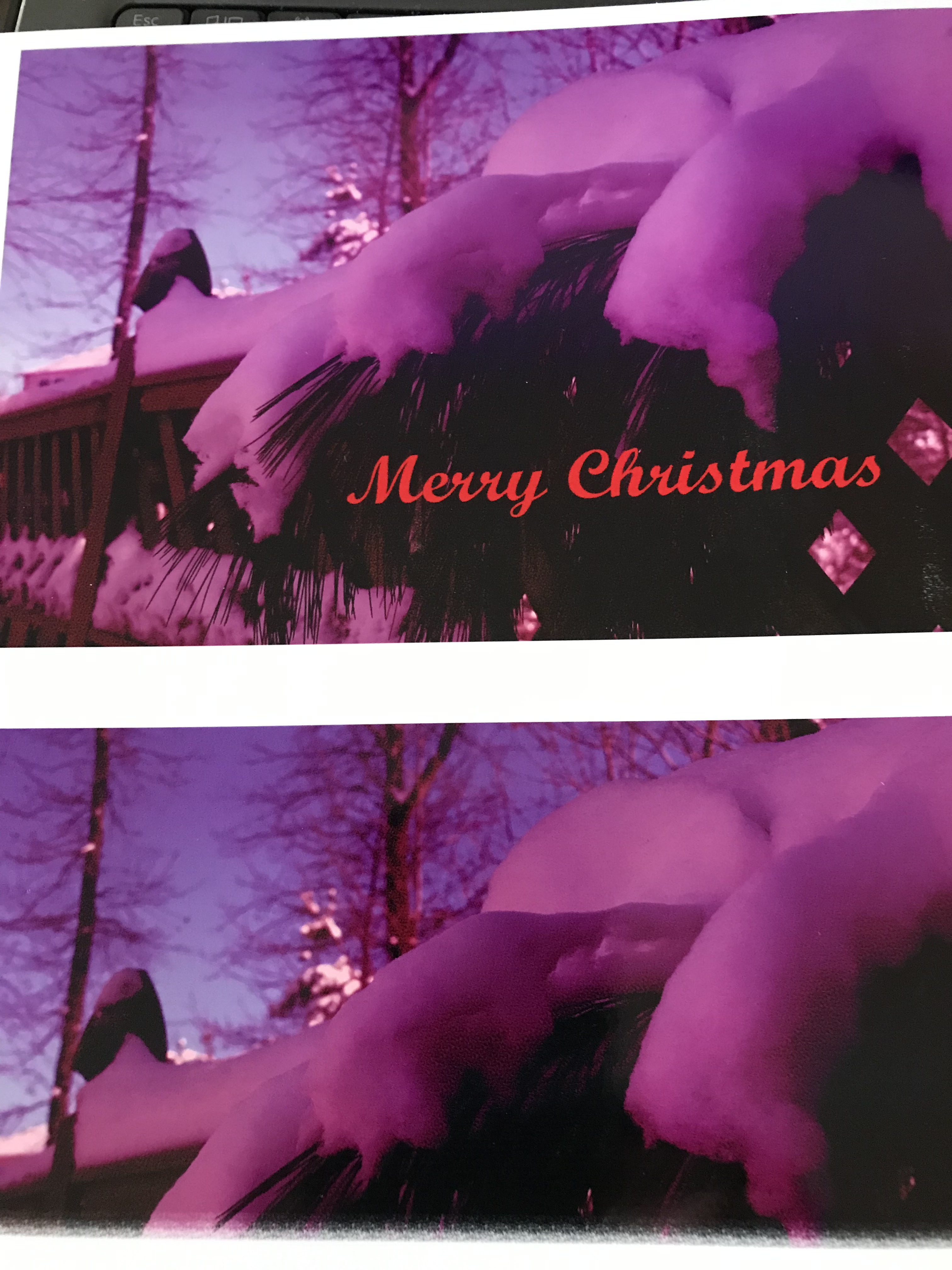 RED CHRISTMAS PHOTO.jpg