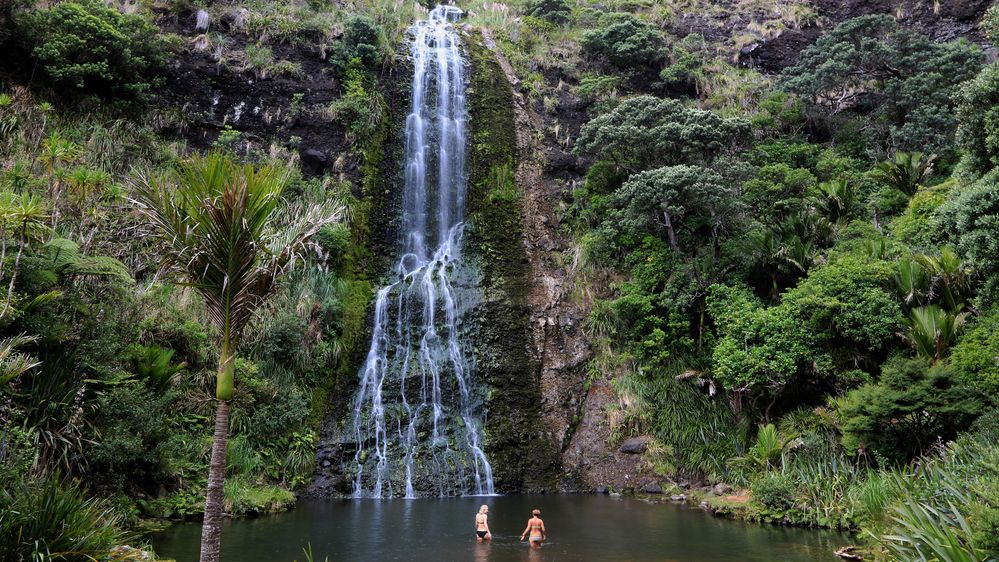 NZ Auckland Piha KareKare Falls LoRes.jpg