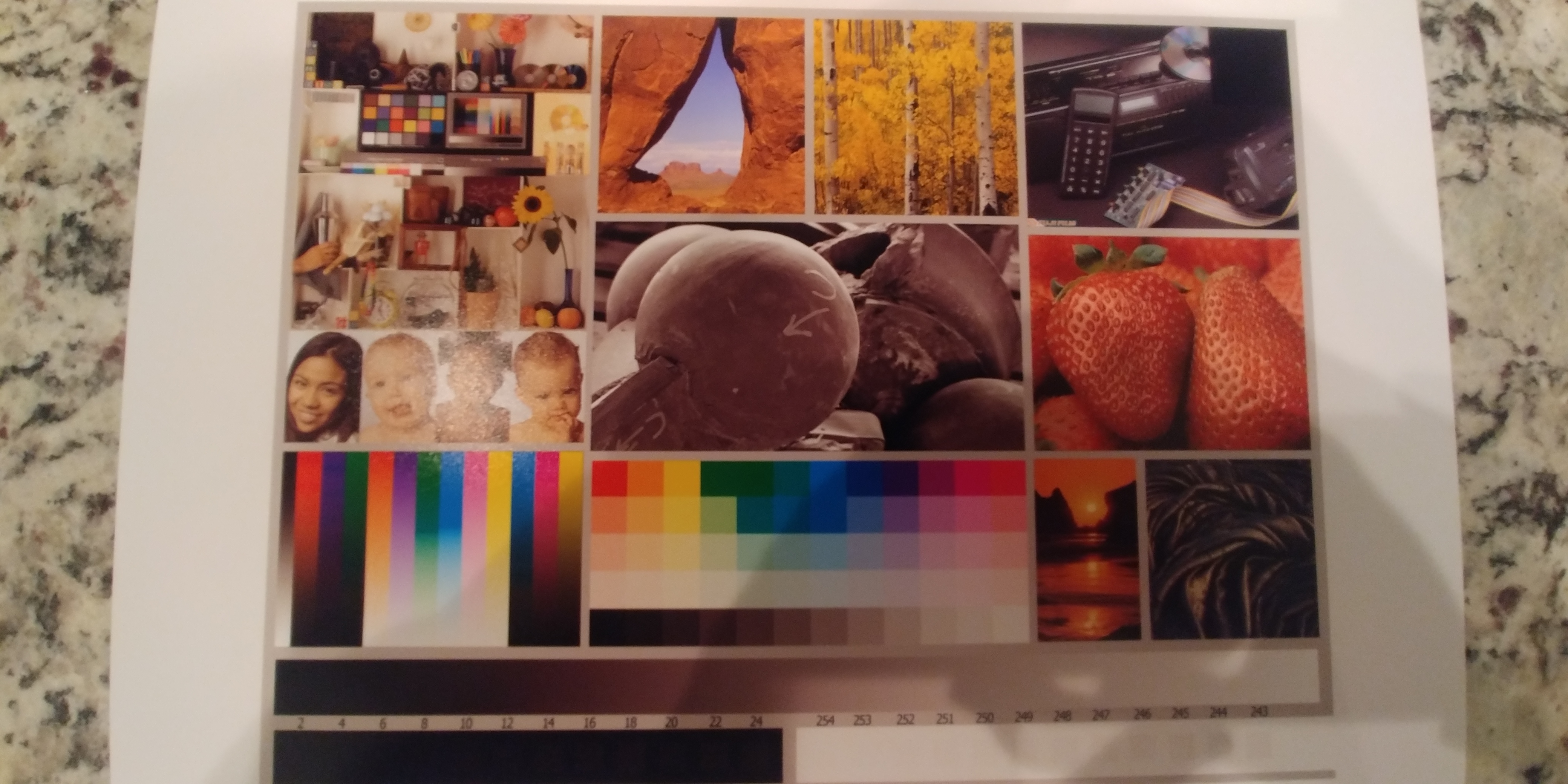 20190306_190531 (1).jpg