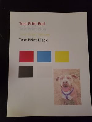 test-printed.jpg