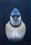 Profile (BlueBird)