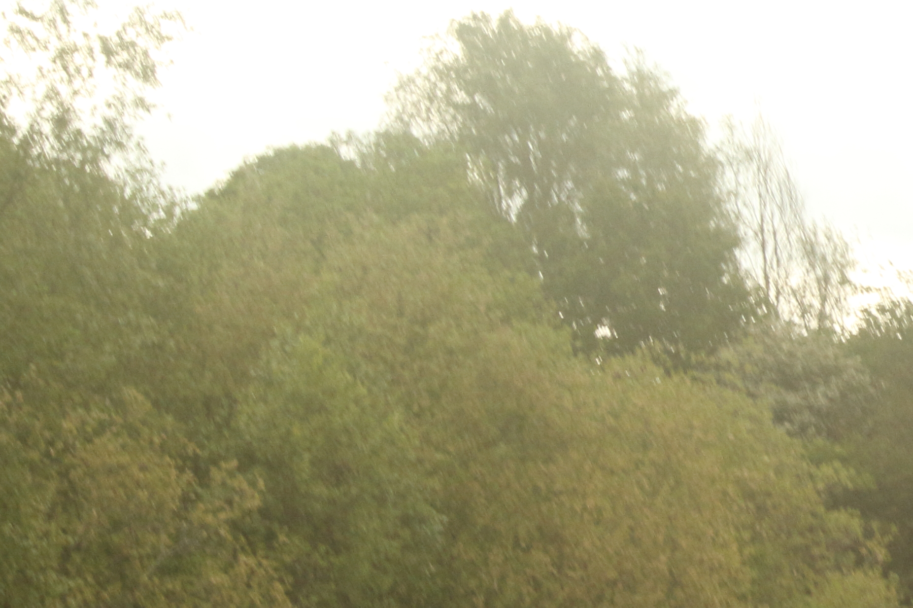 exif photo.JPG