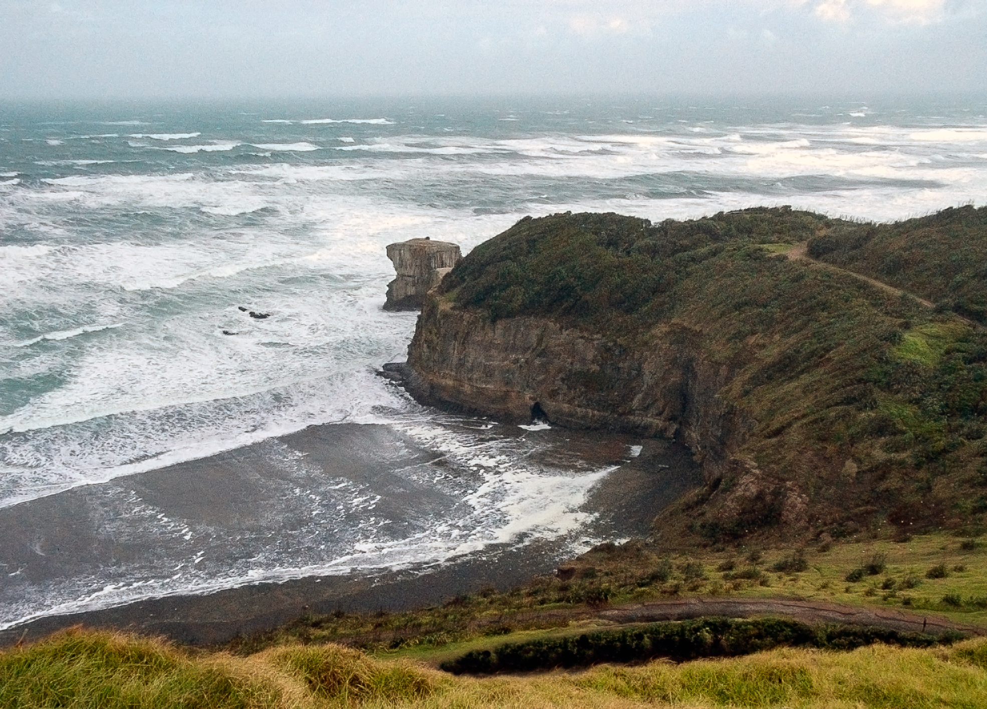 G1-Muriwai 001.jpg