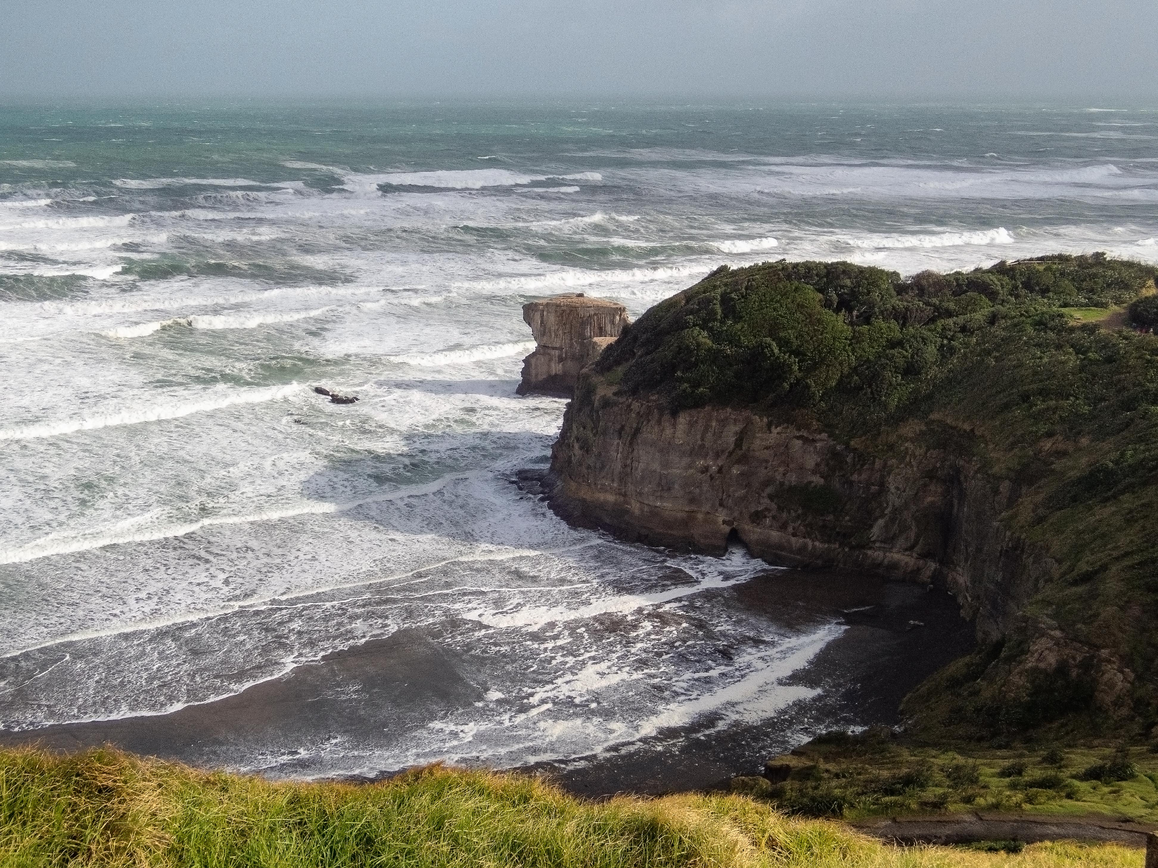 OLTG5-Muriwai 001.jpg