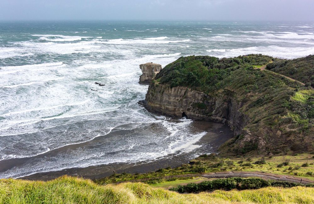 N1-Muriwai 001.jpg