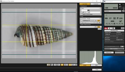 Canon EOS 7D Amrk II.jpg