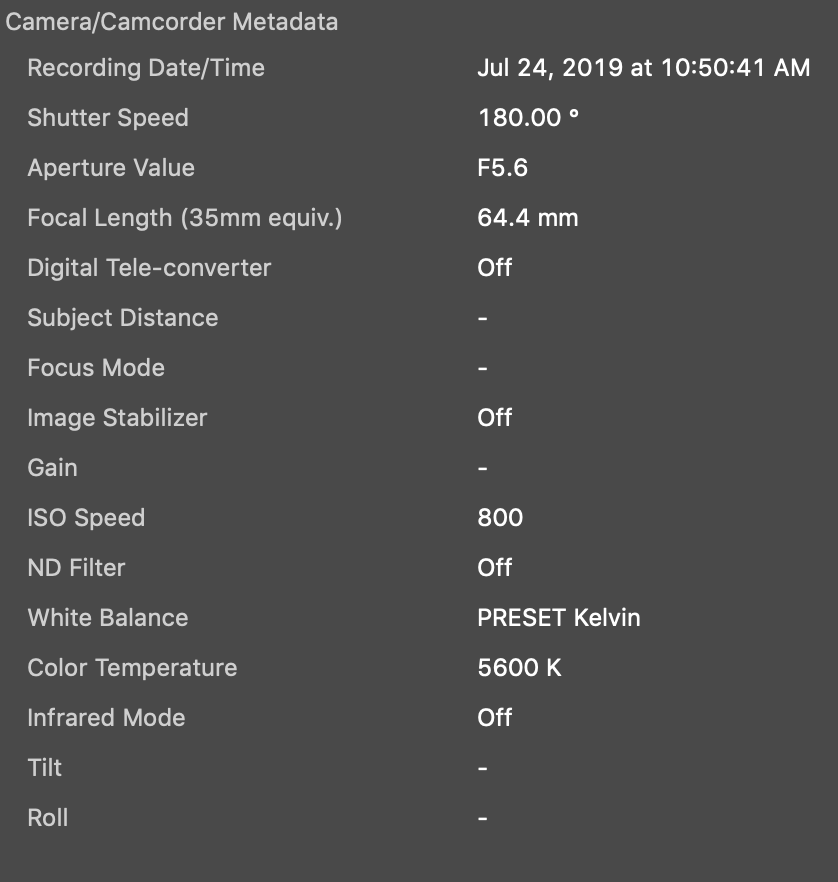 Screen Shot 2019-07-24 at 12.59.24 PM.png