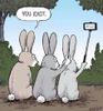 Rabbit selfies.jpg