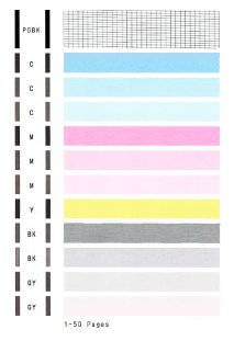 TS6020 Nozzle Check.jpg