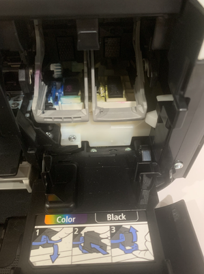 Screen Shot 2019-09-30 at 11.28.20 AM.png