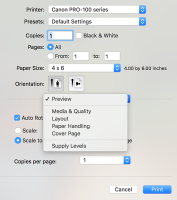 Screen Shot 2019-11-20 at 9.47.58 PM.png