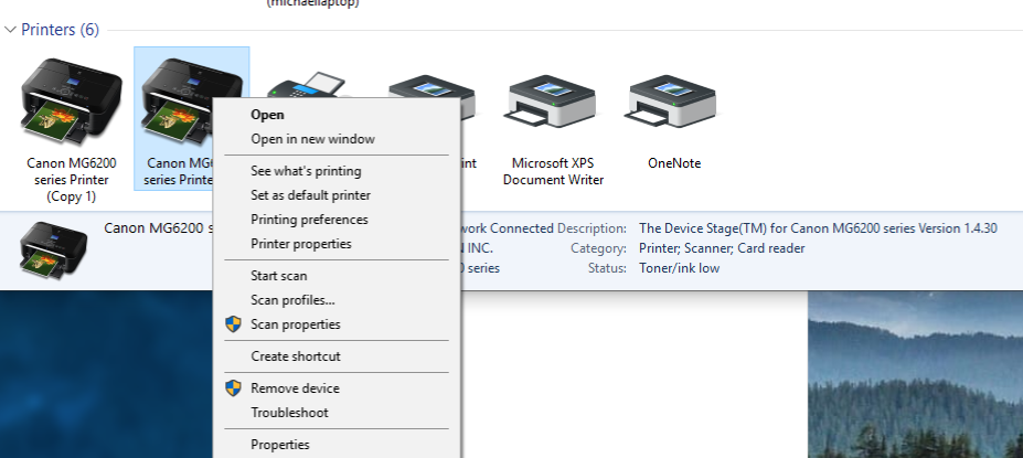 Printer screenshot 120120.png